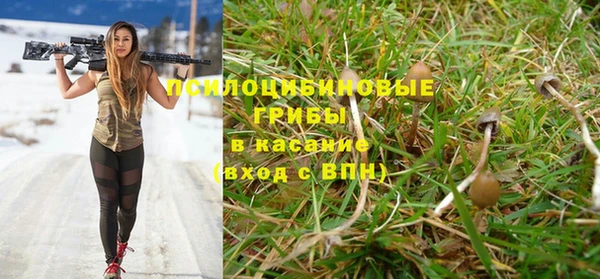 бутират Аша