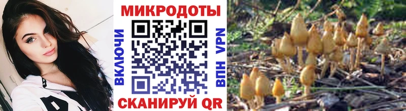 ОМГ ОМГ ссылка  Ярцево  Галлюциногенные грибы MAGIC MUSHROOMS 