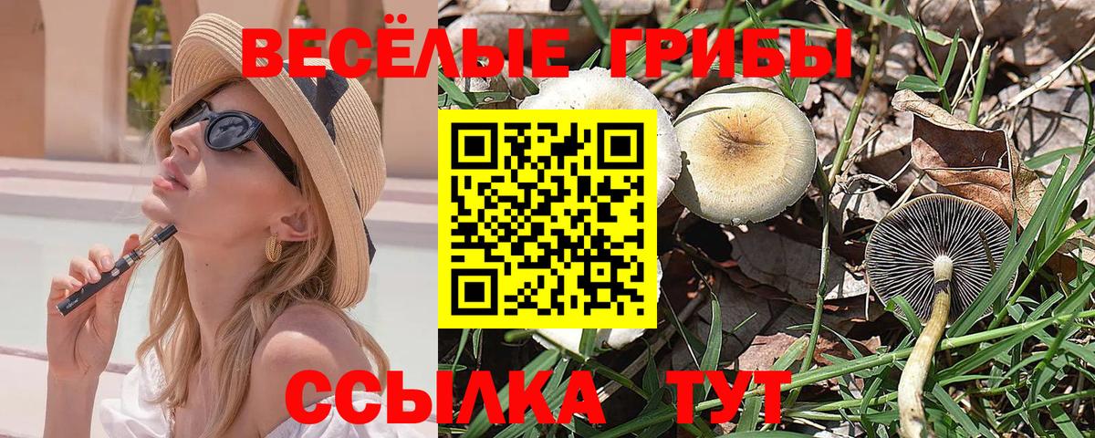 Галлюциногенные грибы ЛСД Ярцево