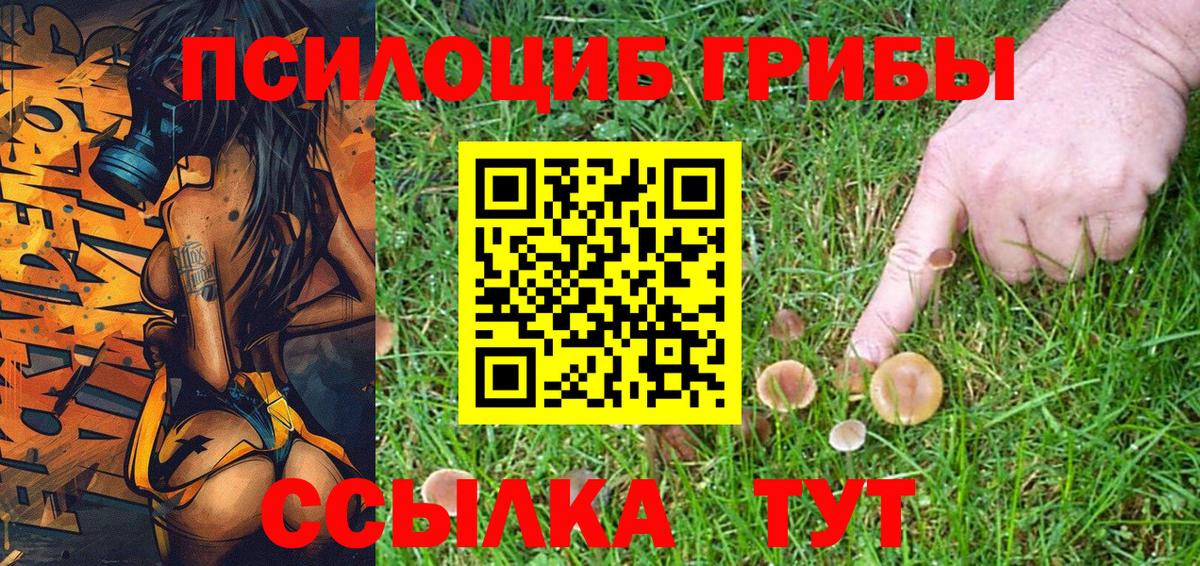 Псилоцибиновые грибы Psilocybine cubensis  Ярцево 