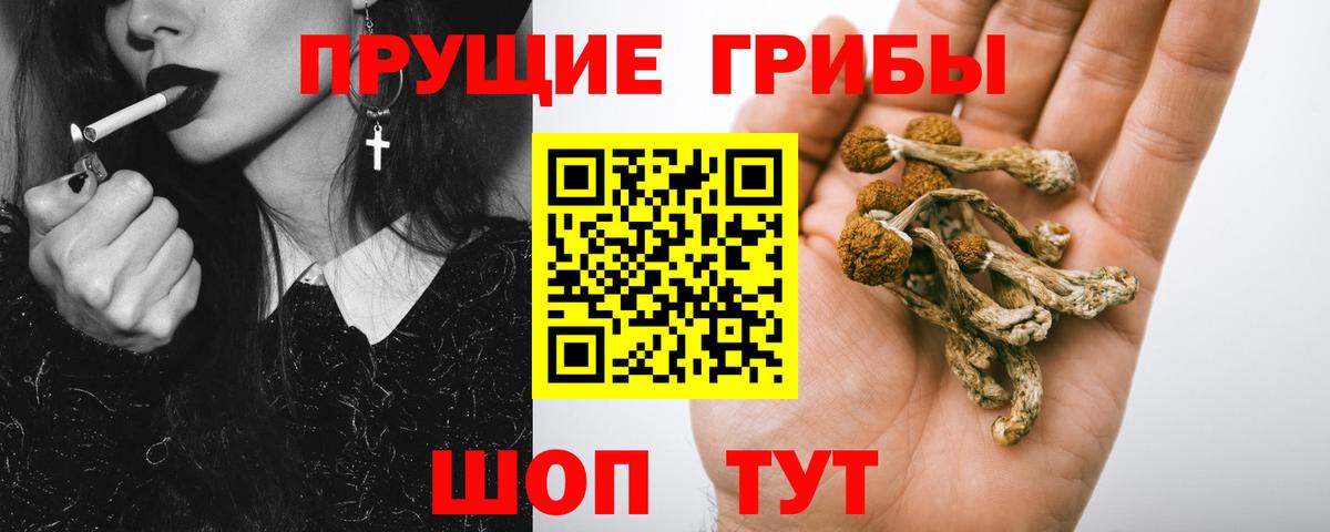 Галлюциногенные грибы прущие грибы  Вход с VPN  Псилоцибиновые грибы мицелий  Ярцево 