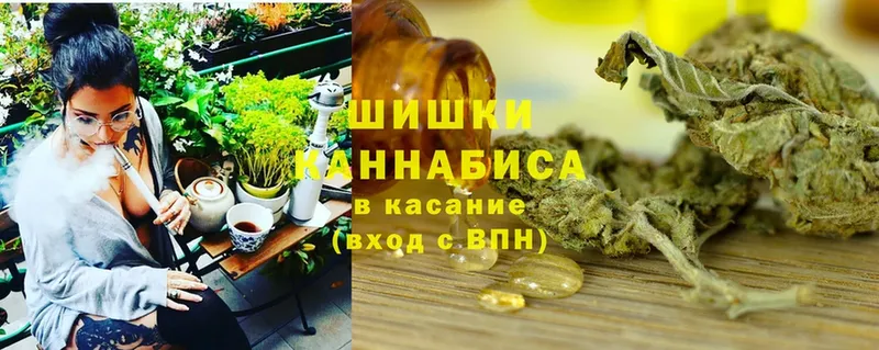 Конопля Ganja  Ярцево 